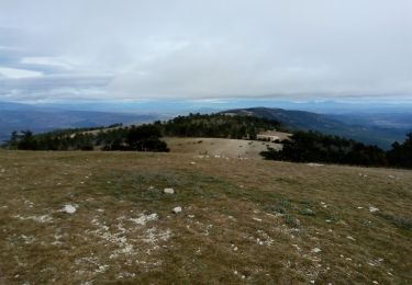 Excursión Bici de montaña La Bastide-des-Jourdans - Crêtes du grand Lubéron Est-Ouest - Photo