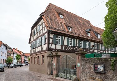 Trail On foot Buchen (Odenwald) - Rundwanderweg Buchen 7: Wartberg-Werg - Photo