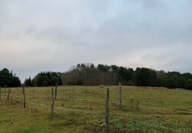 Randonnée A pied Mittenwalde - Rundwanderweg Töpchin - Photo