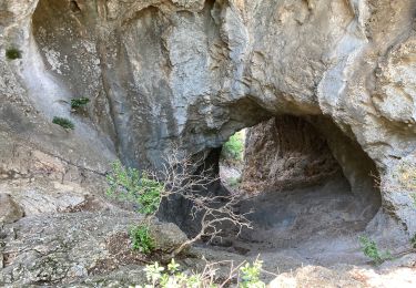 Excursión Senderismo Saint-Rémy-de-Provence - St Rémy de Provence  - Photo