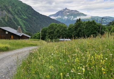 Randonnée Marche Les Houches - TMB 01 - Les Houches -> Les Contamines - Photo