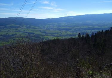 Randonnée Marche Plateau d'Hauteville - Ferme Guichard  - Photo