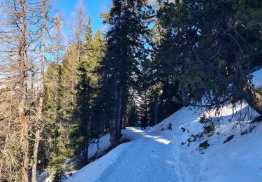 Trail Touring skiing La Plagne-Tarentaise - La Plagne 1800, Aime La Plagne, Plagne Soleil  - Photo