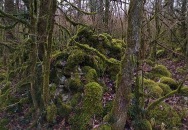 Tour Wandern Bélesta - recherche proche du village  - Photo