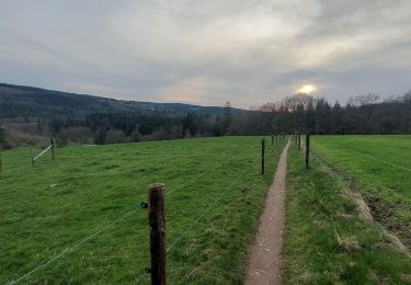 Trail Walking Houffalize - Houffalize  - Photo