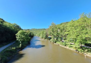 Tour Wandern Houyet - Celles Hulsonniaux La Lesse - Photo