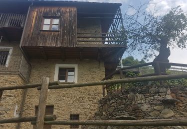Randonnée A pied Tirano - (SI D30N) Madonna di Tirano - Alpe Salina - Photo