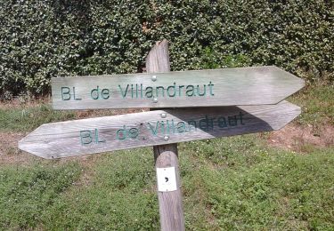 Randonnée A pied Villandraut - Boucle locale de Villandraut - Photo