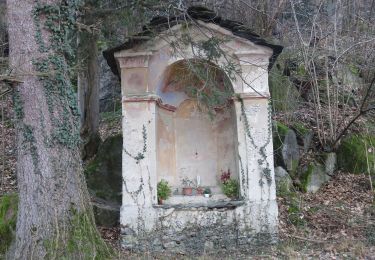 Tocht Te voet Ornavasso - A21 - Punta di Migiandone - Cima Tre Croci - Photo