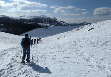 Tocht Sneeuwschoenen Roubion - col de la Couillon - Tournerie - Photo