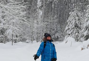 Tour Schneeschuhwandern Lenzkirch - raquette - Photo