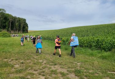 Tocht Stappen Château-Thierry - Rando-matin BRIC du 07-07-2024 - Photo