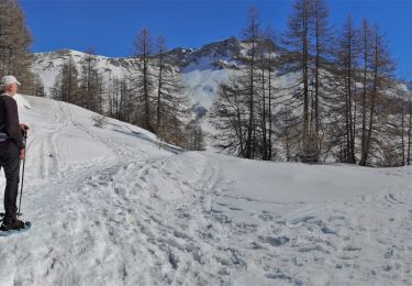 Tour Schneeschuhwandern Allos - lac d'Allos - Photo
