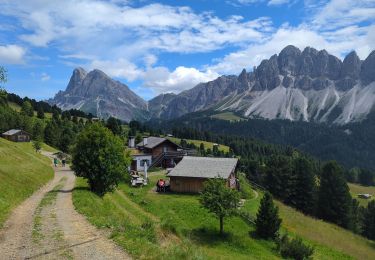 Trail Walking Brixen - Bressanone - Plose - Schatzerhütte - Photo