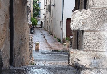 Percorso Marcia Avignone - baguenaudage en Avignon - Photo