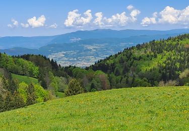 Trail Walking Saint-François-de-Sales - la plate 20-05-24 - Photo