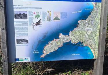 Randonnée Marche Cargèse - punta Omigna  - Photo