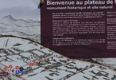 Tocht Stappen La Roche-Blanche - Plateau de Gergovie - Photo