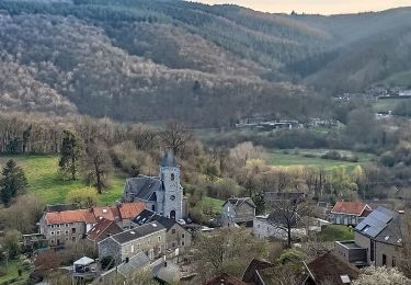 Randonnée Marche Trooz - La Saute - Photo