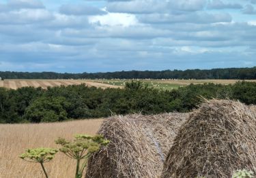 Tocht Stappen Chissay-en-Touraine - Chissay-en-Touraine - Zig zag Beaune les Durdents - 18.2km 330m 3h50 - 2024 08 14 - Photo