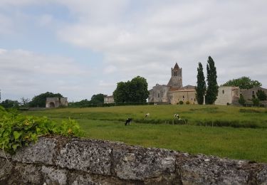 Tour Wandern Sablonceaux - abbaye de Sablonceaux  - Photo