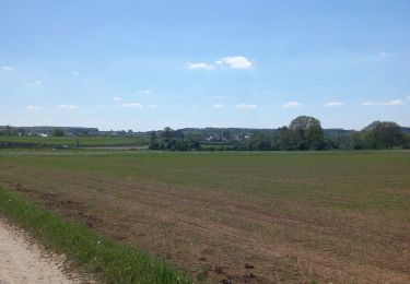 Tocht Stappen Bertrix - Jéhonville 11km - Photo