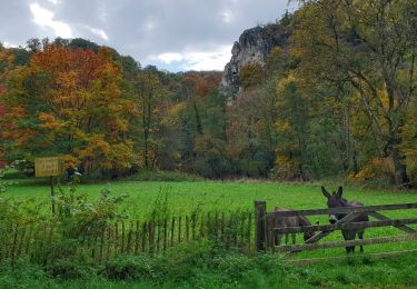 Randonnée Marche Dinant - La promenade du Parc Naturel de Furfooz - Photo