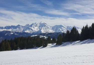 Trail Touring skiing Combloux - Combloux Croix de Sales - Photo