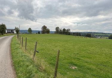 Tour Wandern Érezée - Erezee 23,4 km - Photo