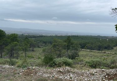 Excursión Senderismo Fabrègues - La Gardiole - Photo