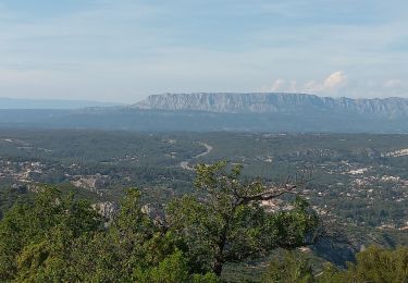 Randonnée Marche Roquevaire - Lascours Mont du Marseillais - Photo