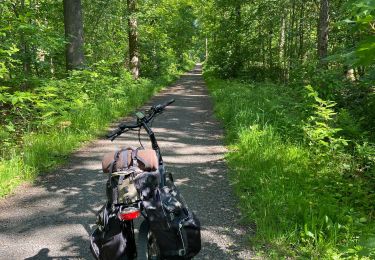 Excursión Bici de carretera Cortrique - Kortrijk -la pann - Photo