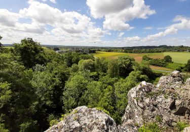 Tocht Stappen Jemeppe-sur-Sambre - grotte de spy - Photo