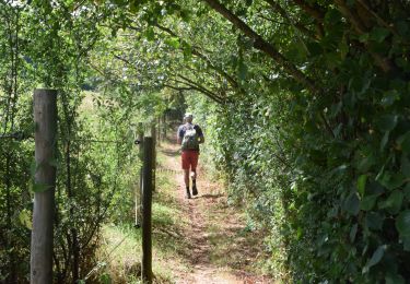 Trail Walking Yvoir - RB-Na-21-Terres seigneuriales et carrières de la vallée du Bocq - Photo