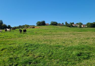 Trail Walking Marigny-en-Orxois - Marigny en Orxois du 15-09-2024 - Photo