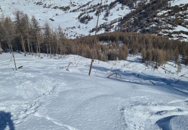 Randonnée Ski de randonnée Cervières - bois de Prafauchier par col de chaudemaison  - Photo
