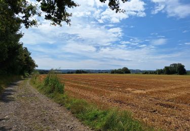 Randonnée Marche Beauraing - Revogne - Photo