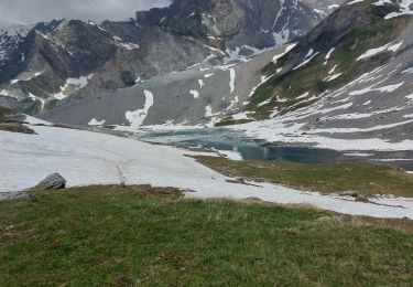 Trail Walking Pralognan-la-Vanoise - Le col de la vanoise - Photo