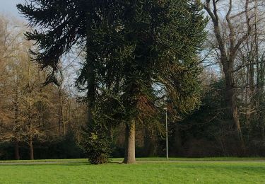 Excursión Senderismo Manage - Promenade en famille à Mariemont - Photo