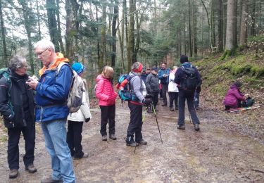 Tour Wandern Masevaux-Niederbruck - randonnée CVG Seigneurie aller - Photo