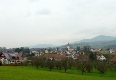 Tocht Te voet Sasbach - Erlebnis-Rundweg Obersasbach - Photo