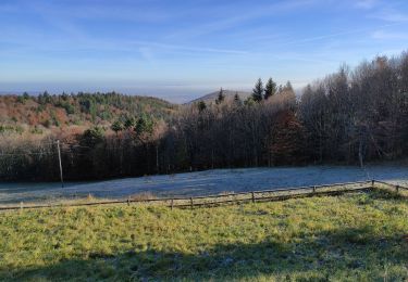 Randonnée Marche Uffholtz - Col Herrenfluch Freundstein Molkenrain - Photo