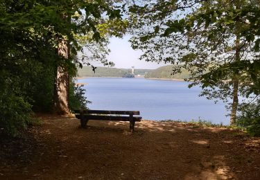 Trail Walking Limbourg - dolhain tour de la gileppe retour - Photo