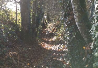 Trail Walking Pluguffan - nd grace - Photo