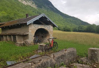 Trail Mountain bike Seyssins - L'Echaillon en boucle depuis Seyssins - Photo