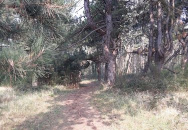 Trail Walking Le Crotoy - LP80_Le Crotoy_La Maye_4.6km - Photo