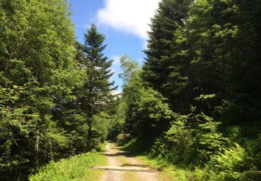 Trail Walking Bossòst - Col du portillon pic d’aubas et d’arbres - Photo