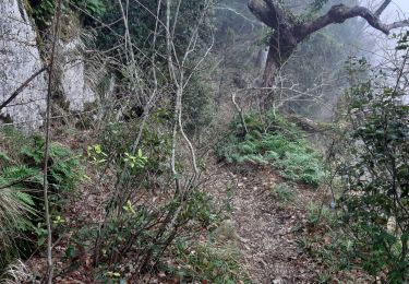 Randonnée Marche Plan-d'Aups-Sainte-Baume - grotte aux oeufs - Photo