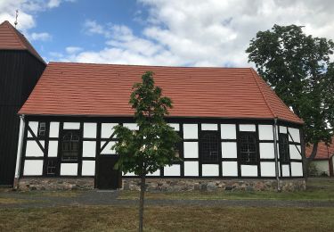 Percorso A piedi Schönwald - Wanderweg Schönwalde (Badeteich)-Waldow-Rietzneuendorf - Photo