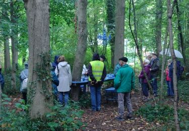 Tocht Stappen Seneffe - Promenade Piedescaus Seneffe - Photo